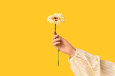 Sarı arka planda güzel papatyaları olan bir kadın.