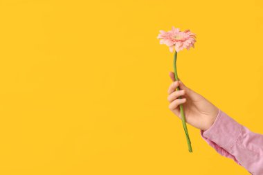 Sarı arka planda güzel papatyaları olan bir kadın.