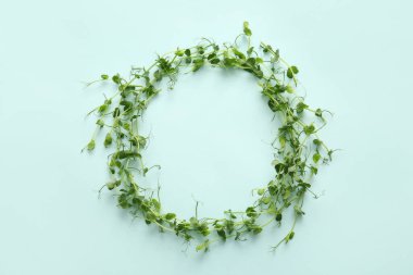 Renkli arkaplanda taze mikro yeşilden yapılmış çerçeve