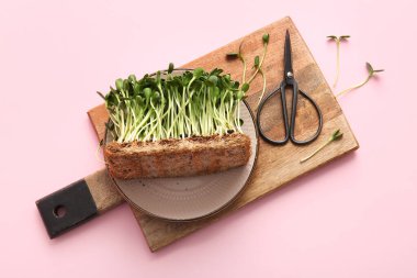 Tahta tahta tahta, taze mikro yeşil ve pembe arka planda makas.