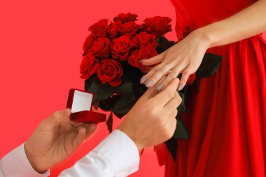 Erkek, kız arkadaşının parmağına kırmızı arka planda nişan yüzüğü takıyor, yakın plan. Sevgililer Günü kutlaması