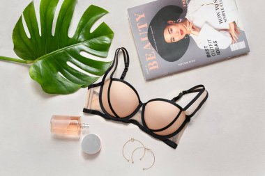 Şık bayan sütyeni, aksesuarlar, dergi ve arka planda palmiye yaprağı olan kompozisyon