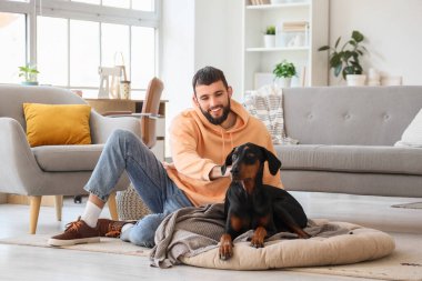 Young man with Dobermann dog on pet bed at home clipart