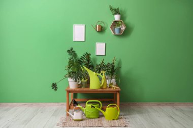 Bitkilerle dolu bir masa, sulama kutuları ve yeşil duvarda boş çerçeveler.