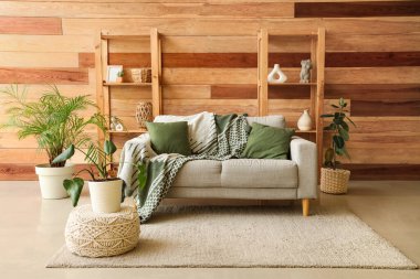 Oturma odasının iç tarafında ekose ve çiçekli kanepe.