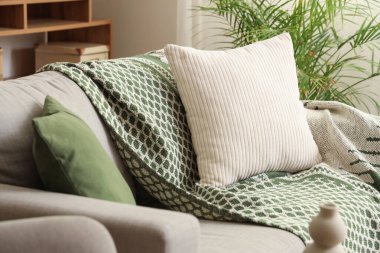 Oturma odasındaki rahat kanepede ekose. Yakın çekim.