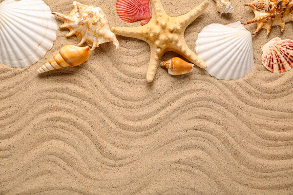 Composition with beautiful seashells and starfish on sand with waves