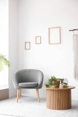 Işıl ışıl oturma odasının içi, rahat gri koltuğu ve ahşap sehpanın üzerindeki bitki örtüsü.