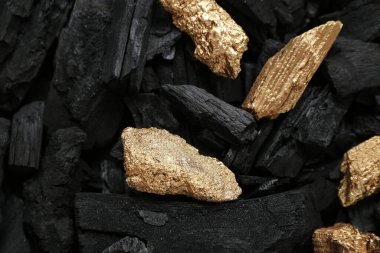 Siyah kömür üzerinde altın külçeler, yakın plan.