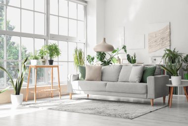 Rahat gri kanepe ve çiçeklerle aydınlık oturma odasının içinde.