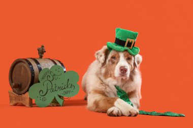 Leprikon şapkalı şirin Avustralya çoban köpeği. Turuncu arka planda varili ve kartı var. Aziz Patrick Günü kutlaması