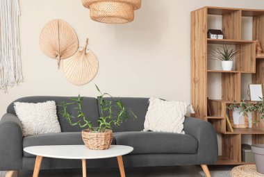 Bambu bitkisiyle modern odanın içi