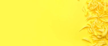 Sarı arkaplan üzerinde kasımpatı çiçekleri metin için boşluk, üst görünüm