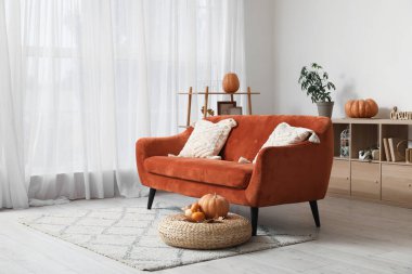 Rahat kanepe ve balkabaklarıyla modern oturma odasının içinde.