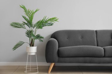 Minimalizm tarzında, kanepe ve bitki örtüsüyle.