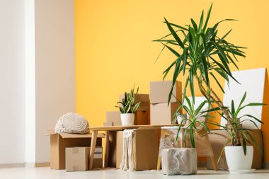 Tahta masa, ev bitkileri ve turuncu duvarın yanındaki karton kutular. Taşınma konsepti
