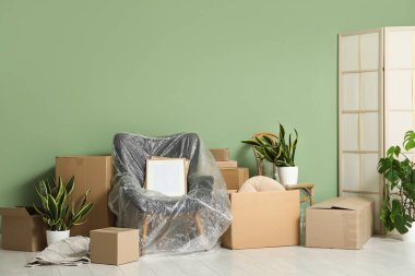 Dolu gri koltuklar, ev bitkileri ve karton kutularla dolu yeni bir oturma odası. Taşınma konsepti