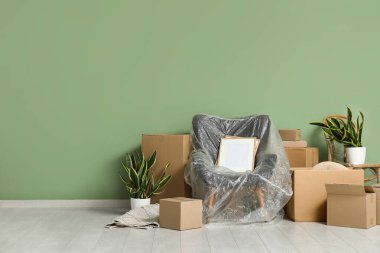Dolu gri koltuklar, ev bitkileri ve karton kutularla dolu yeni bir oturma odası. Taşınma konsepti