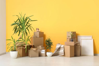 Çiçekler ve turuncu duvarın yanındaki karton kutular. Taşınma konsepti