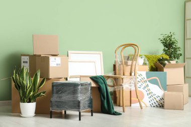 Paketlenmiş sandalye, ev bitkileri ve yeşil duvarın yanındaki karton kutular. Taşınma konsepti