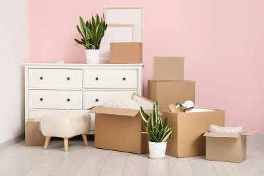 Çekmeceler, ev bitkileri ve pembe duvarın yanındaki karton kutular. Taşınma konsepti
