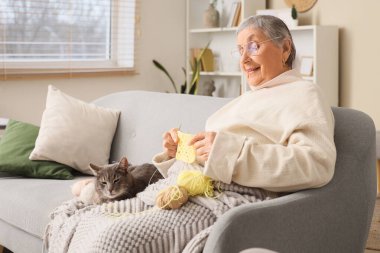 Evde kanepede kedi örgü ören son sınıf öğrencisi kadın.