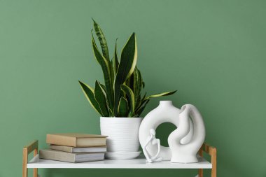 Eski kitaplar, ev bitkisi, biblo ve vazolar yeşil duvarın yanındaki raflarda.