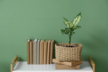 Odadaki yeşil duvarın yanındaki raflarda eski kitaplar ve bitkiler var.