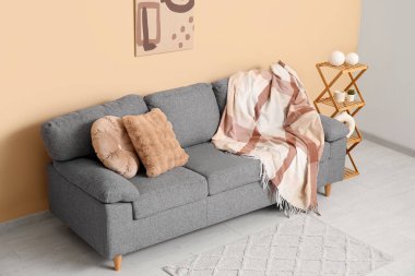 Rahat kanepesi, yastıkları ve bej duvarın yanında raf ünitesi olan şık bir oturma odası.