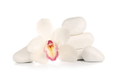 Beyaz arka planda güzel orkide çiçek ve spa taşları
