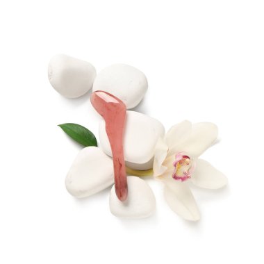 Beyaz arkaplanda guasha aracı, spa taşı ve orkide çiçeği bileşimi