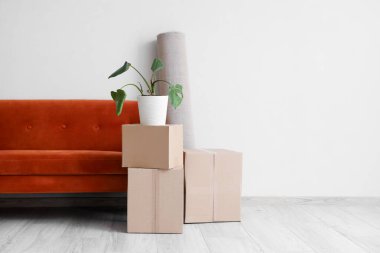 Taşındığı gün oturma odasında turuncu kanepeli ve çiçekli karton kutular.