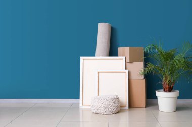 Üzerinde resimler olan karton kutular, rulo halı ve taşınma gününde mavi duvarın yanında bulunan ev bitkisi.