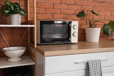 Mutfaktaki tuğla duvarın yanında bitki bulunan mikrodalga fırın.