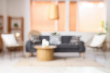 Modern koltukları, gri kanepesi ve ahşap sehpası olan şık bir oturma odası.