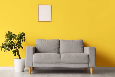 Oturma odasındaki sarı duvarda bitki ve boş çerçeve olan gri kanepe