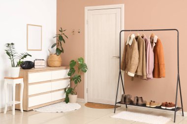 Giysi askıları, çekmeceler, ev bitkileri ve anahtarların bej duvarda asılı olduğu şık bir salon.