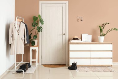 Elbise askısı, çekmece, ev bitkileri ve bej duvarlı anahtar taşıyıcısı olan şık bir salon.