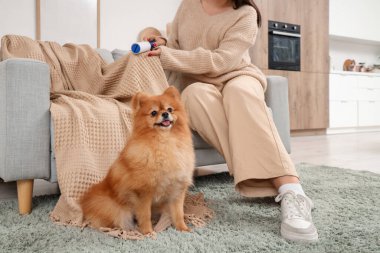 Tiftik silindirli ve tüylü köpeği olan genç bir kadın.