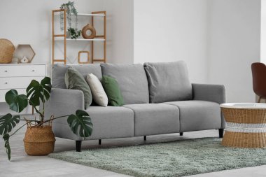 Gri kanepe, kahve masası ve palmiye bitkisiyle aydınlık oturma odasının içinde.