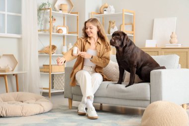 Tişörtünü pamuklu silindir ve Labrador köpeğiyle temizleyen genç bir kadın.