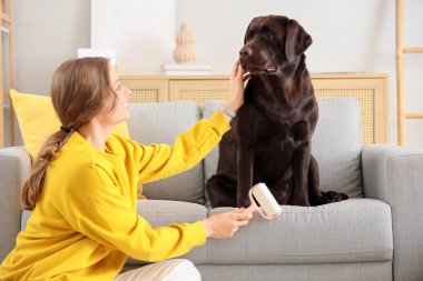Evdeki kanepede tüy yumağı ve Labrador köpeği olan genç bir kadın.