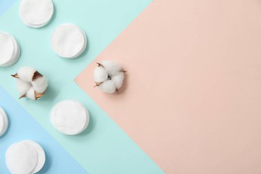 Renk arkaplanında kozmetik pedlerle ve pamuk çiçekleriyle kompozisyon