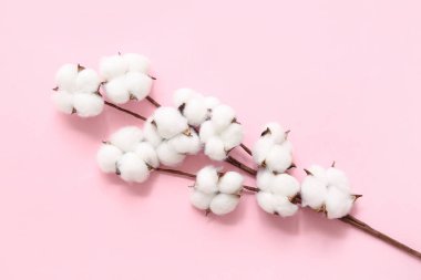 Pembe arka planda güzel pamuk dalı