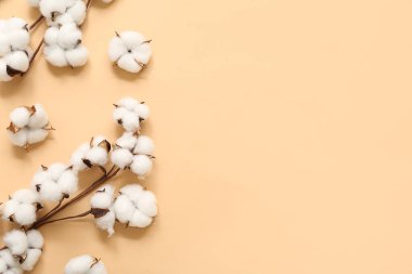 Renk arkaplanında birçok pamuk çiçeği