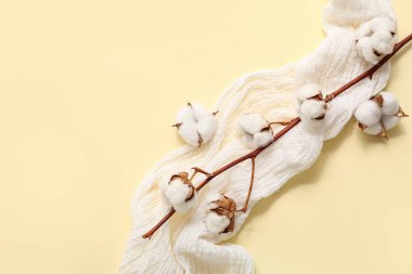 Renk arkaplanına pamuk dalı ve kumaş