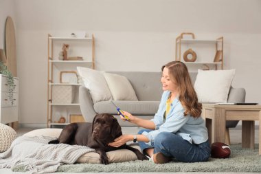 Genç bir kadın sevimli köpeğini evde fırçalıyor.