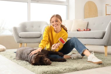 Evcil hayvan fırçası ve sevimli köpeği olan genç bir kadın.