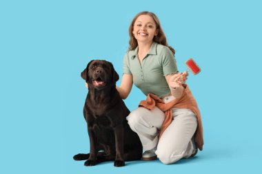 Evcil hayvan fırçası ve mavi arka planda sevimli köpeği olan genç bir kadın.