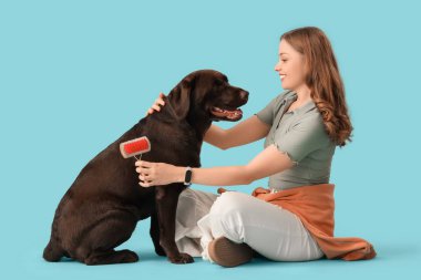 Evcil hayvan fırçası ve mavi arka planda sevimli köpeği olan genç bir kadın.